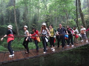 張家界旅游全攻略 注意事項(xiàng)、必買特產(chǎn)與經(jīng)典游玩路線