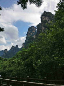 張家界旅行 一場(chǎng)別開生面的自然奇境之旅